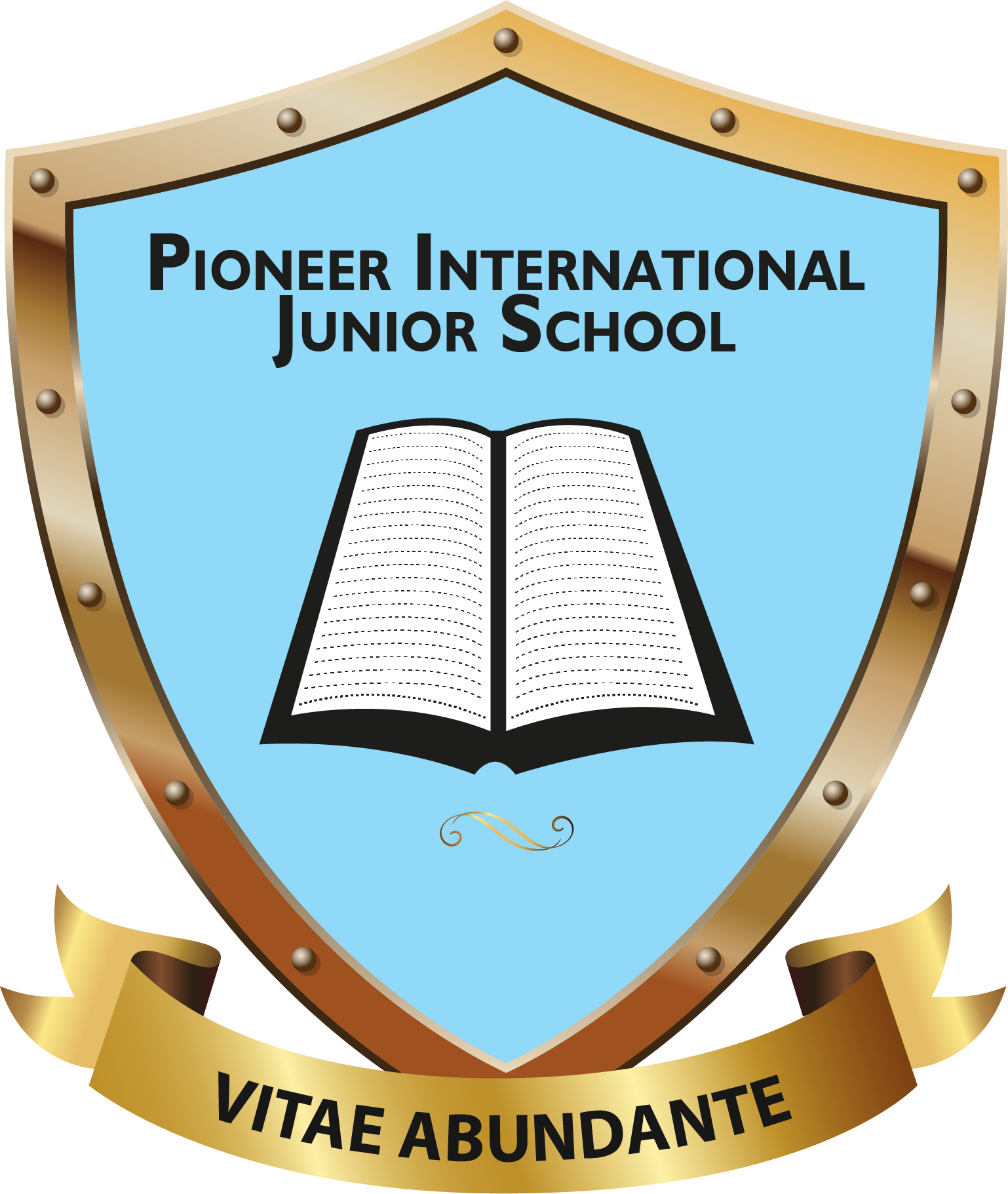 Pioneer Junior Academy